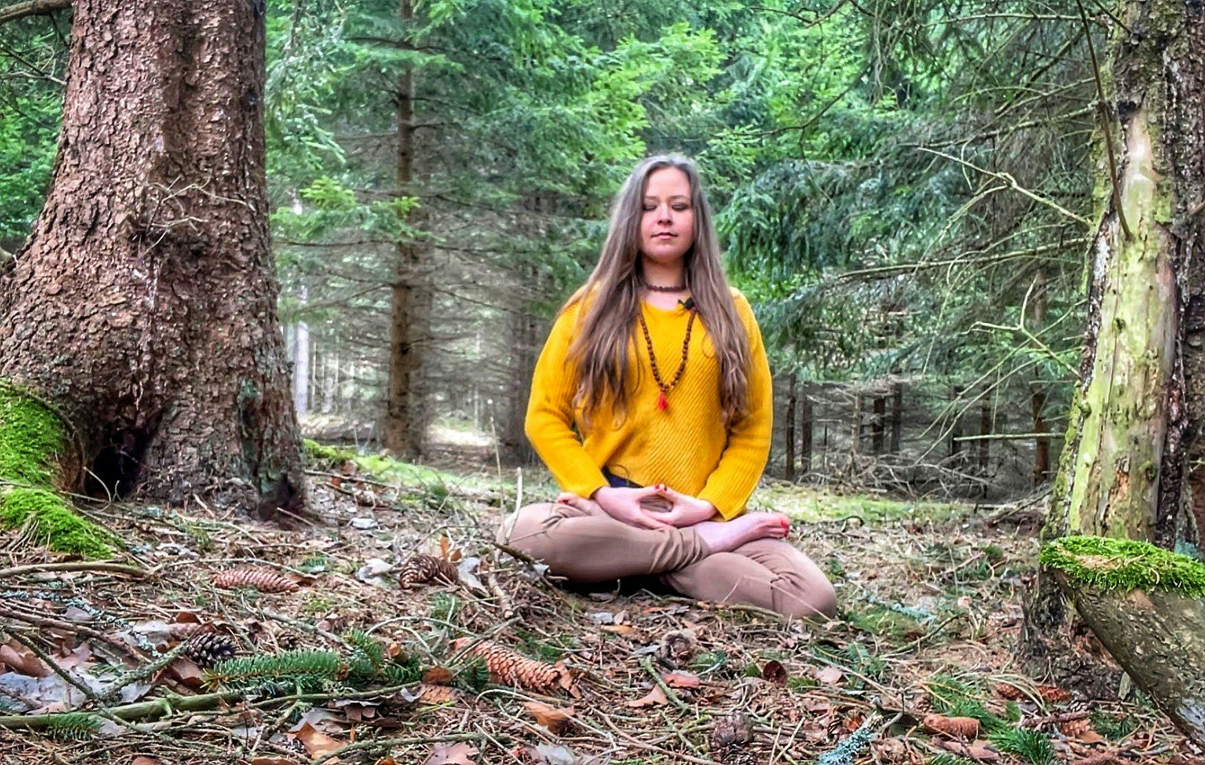 Meditace energie lesa